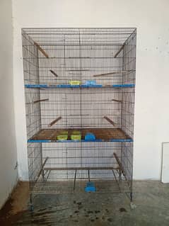 flying  cage  for birds