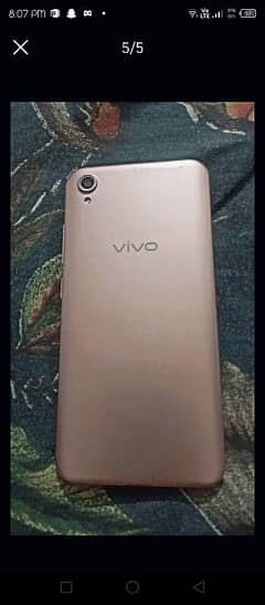 vivo