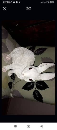 decoration piece Rabbit for sale