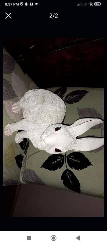 decoration piece Rabbit for sale 0