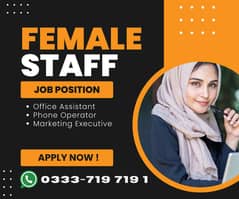 Female Required for Office. Assistant / Accounts / Operator