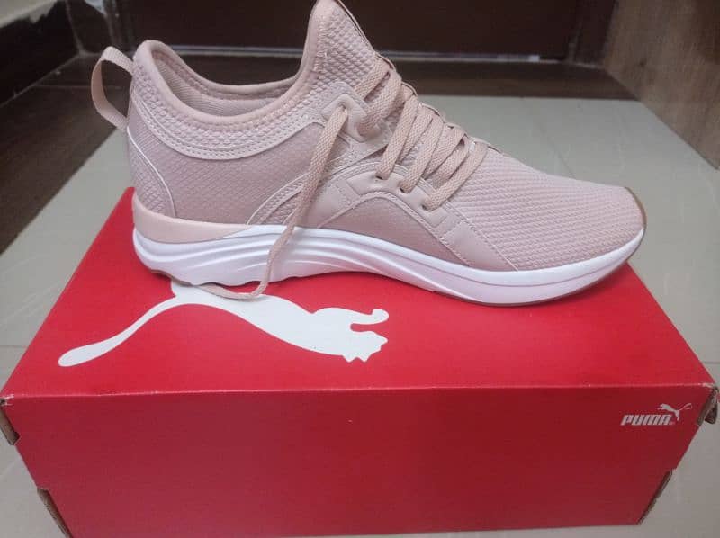 Brand New Puma Shoes 2