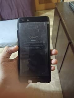 VIVO