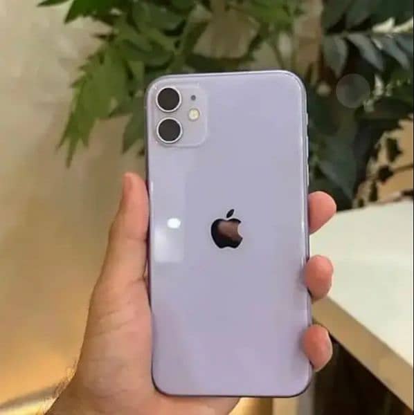 iPhone 11 0