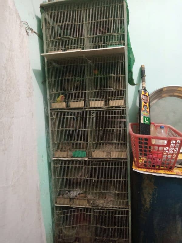 birds cage 0