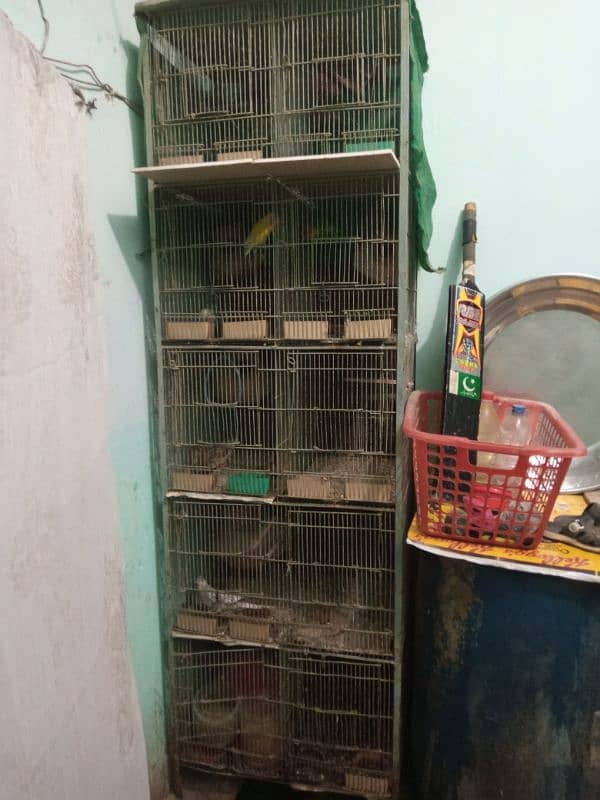 birds cage 1