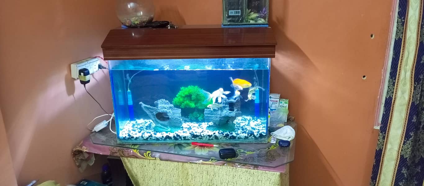 2.5 ft Fish Aquarium with All Accessories For Sale 0