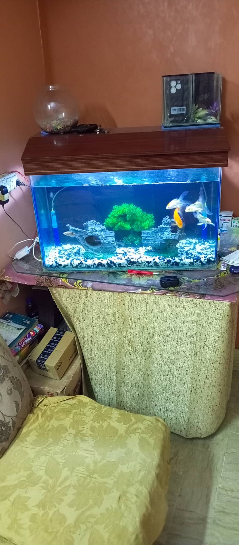 2.5 ft Fish Aquarium with All Accessories For Sale 4