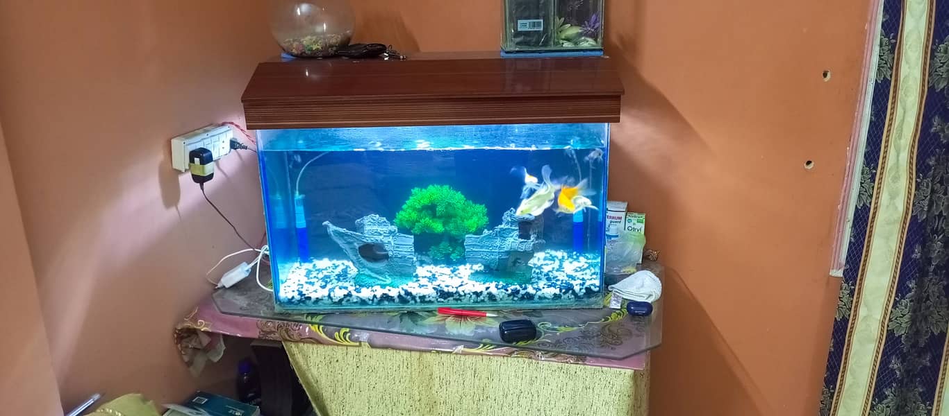 2.5 ft Fish Aquarium with All Accessories For Sale 5