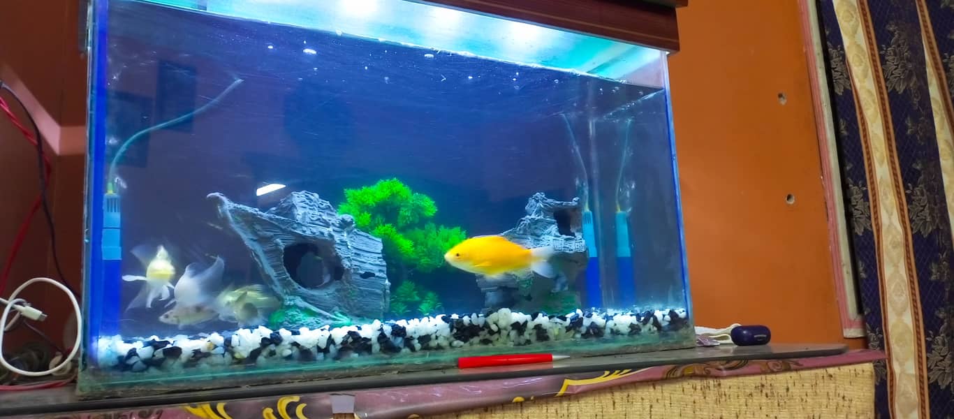 2.5 ft Fish Aquarium with All Accessories For Sale 10