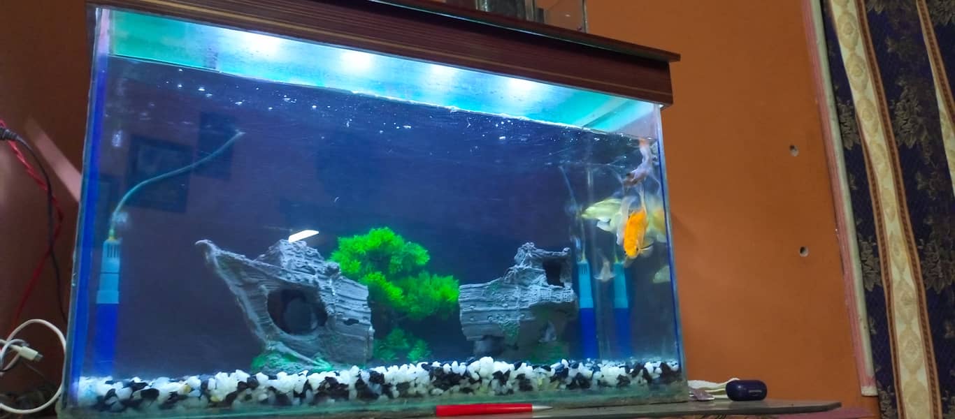 2.5 ft Fish Aquarium with All Accessories For Sale 11