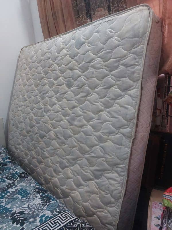 Molty Ortho Mattress 6