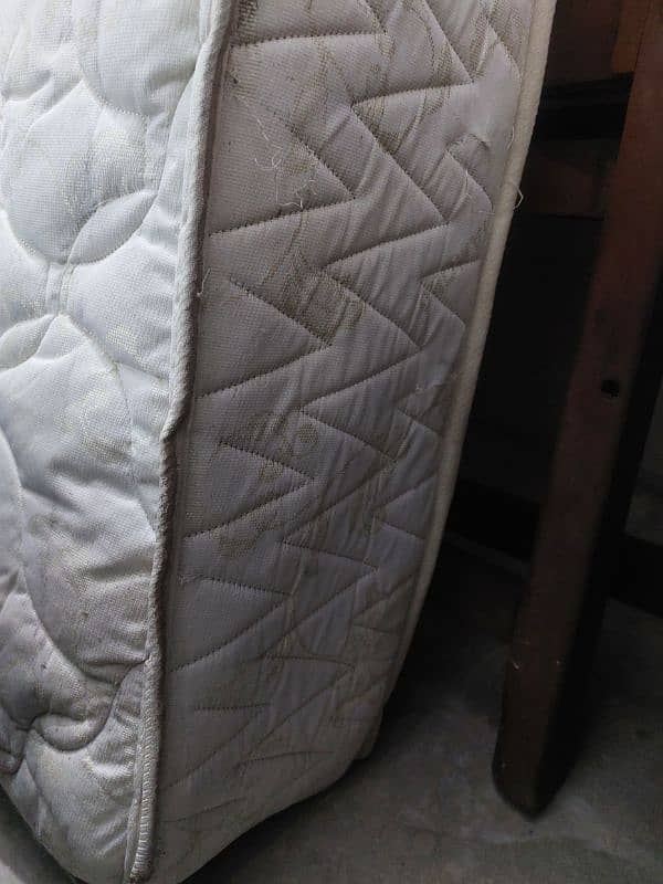 Molty Ortho Mattress 7