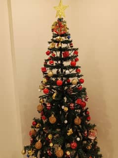 Christmas Tree available in lahore