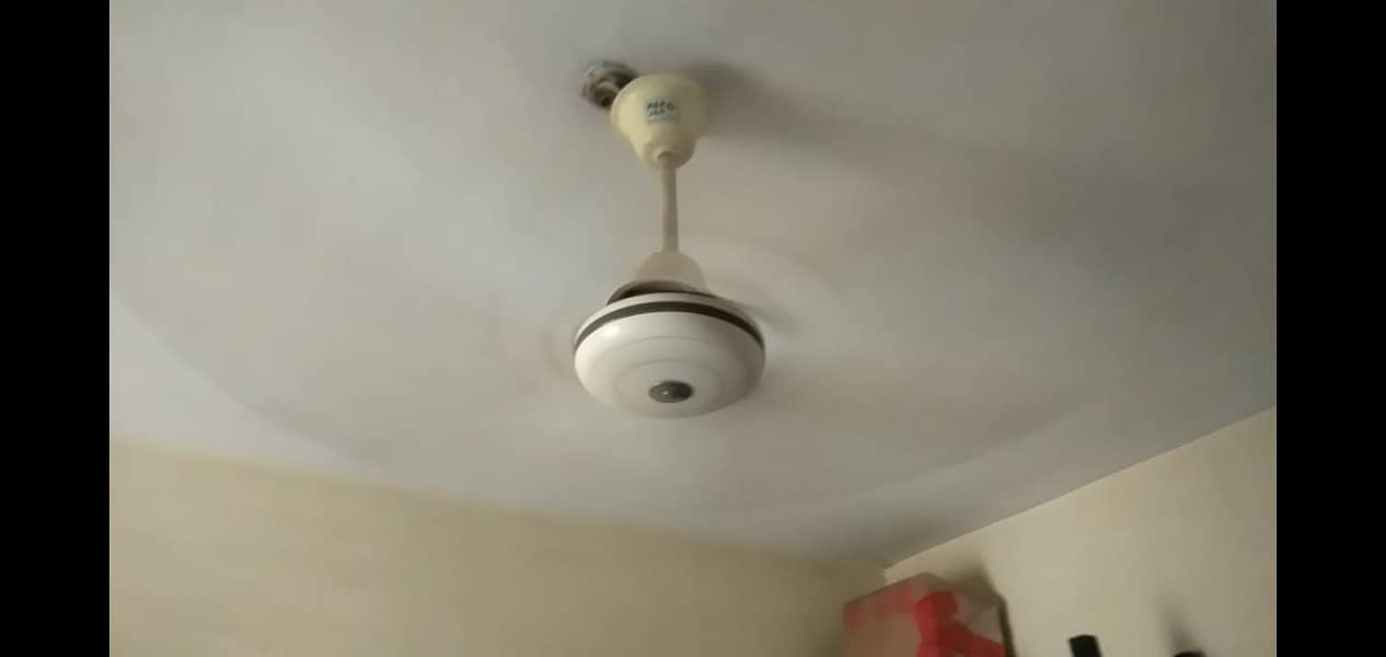 Royal and Pak Fan celling Fan 5