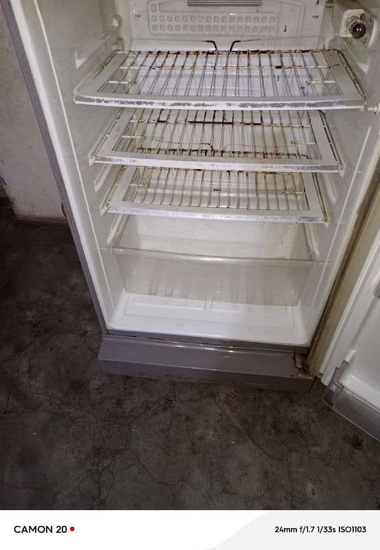 Pel refrigerator full size bast condition 6