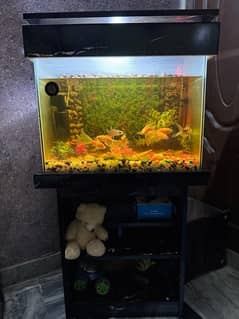 3D Aquarium 2/2 Brand New Condition No Scratch No Repair