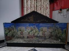 Aquarium for Sell