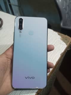 Vivo