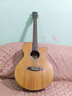 acoustic guitar