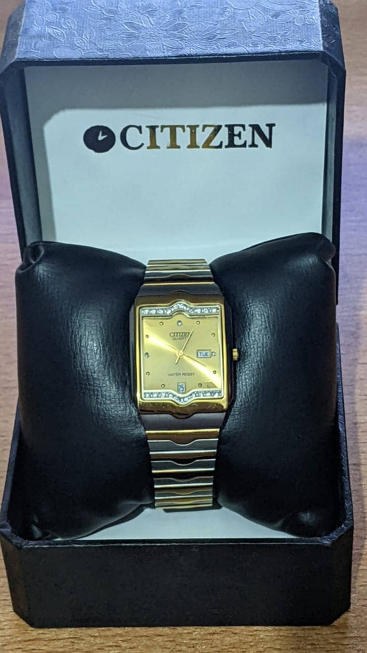 citizen watch 1