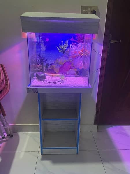 fish aquarium 0