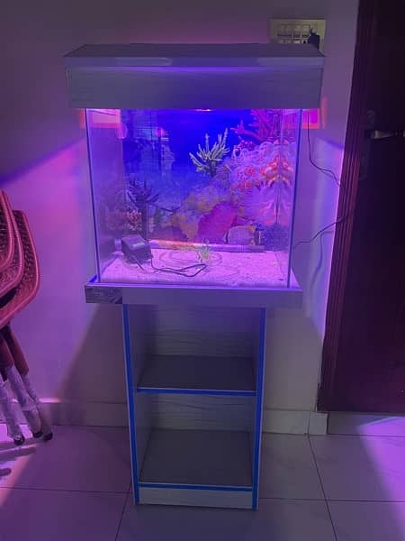 fish aquarium 1