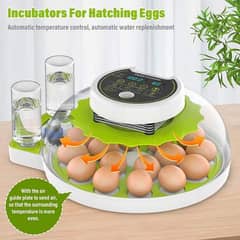 Intelligent 8/26/52 eggs automatic round incubator machine