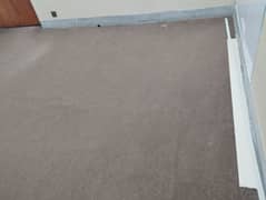 used carpet in good condition