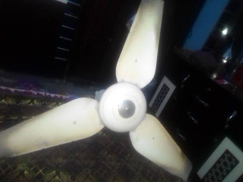 Ceiling Fan 36inch Millat 0