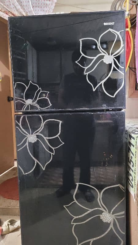 Orient Refrigerator Glass Door 0