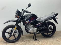 yamaha ybr125g 2024 model ( unregistered apl )