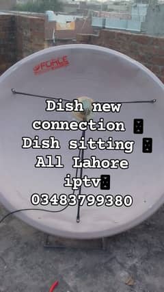 dish