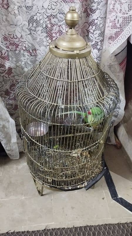 cage for Pahari (only cage) 0