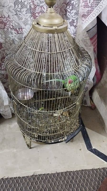 cage for Pahari (only cage) 1