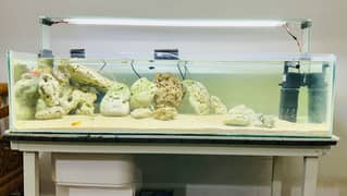 Fish aquarium for sale at very cheap price