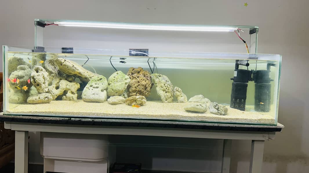 Fish aquarium for sale at very cheap price 1