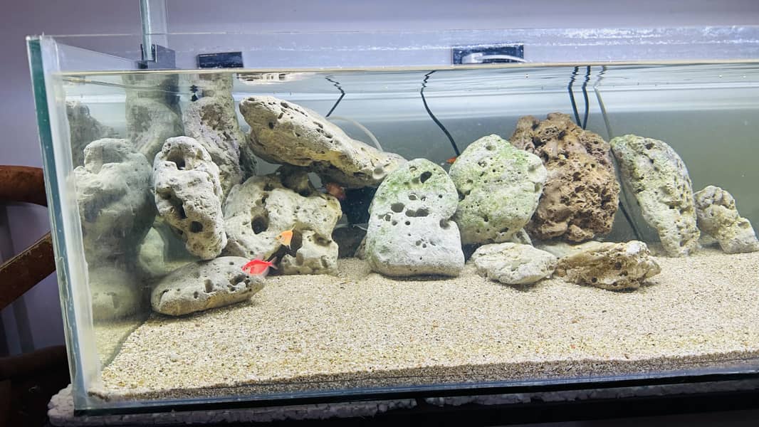 Fish aquarium for sale at very cheap price 8