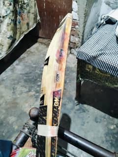 Cricket Bat