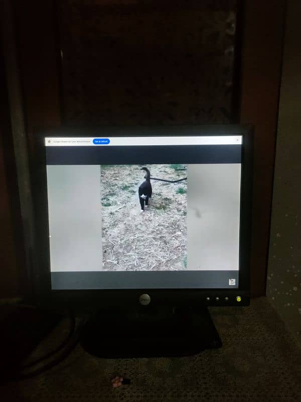 Dell 17" lcd monitor in good condition 2