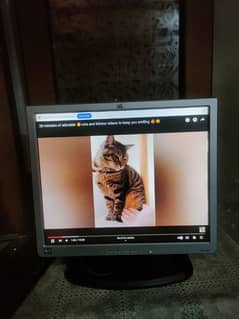 HP 17 " lcd monitor in good condition for sale vga and dvi port