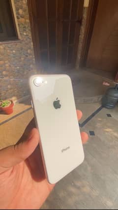 iPhone 8 pta approved