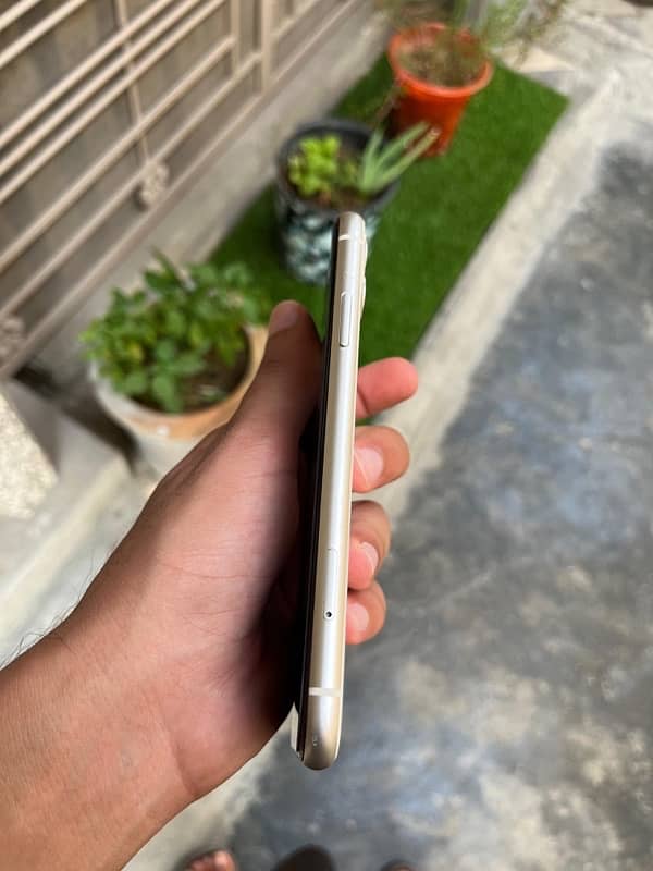 iphone 11 non pta fu 2