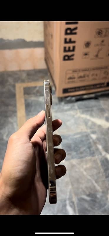 iPhone 12 pro max pta 2