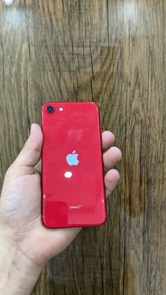 iPhone SE (0324-6259684)