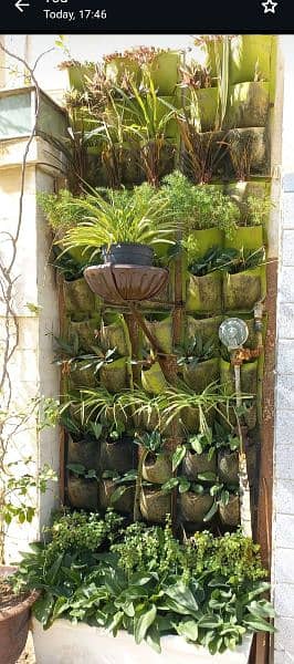 wall hanging planters 1