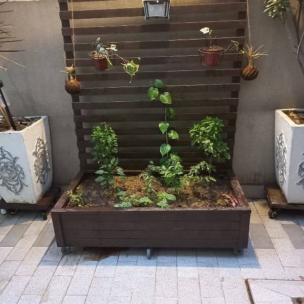 big wooden planters 0