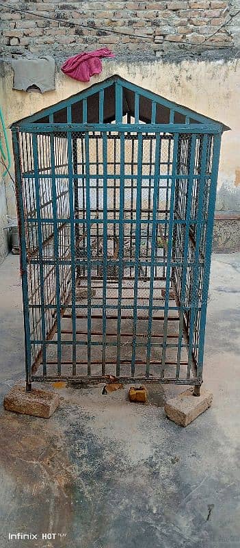 Full Heavy Cage for Sale 2