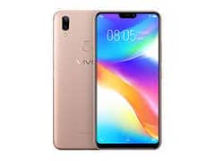 vivo