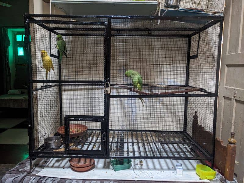 parrot cage only 1 day use 0